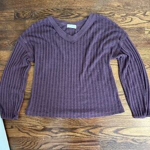 Altar'd State Plum Knit V-Neck Sweater